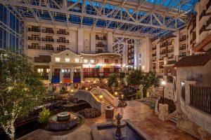 ucc wildix gaylord texan