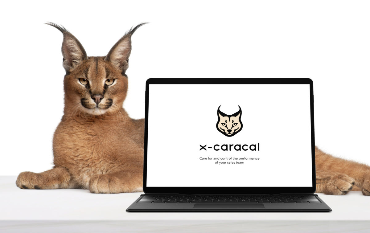 x-caracal by Wildix